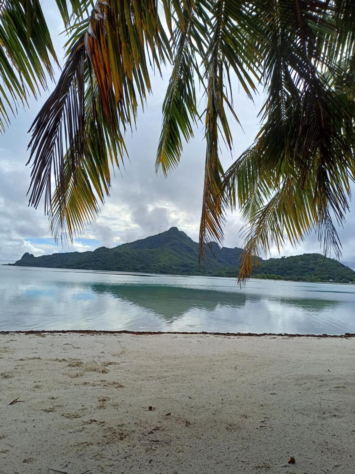 Poemanahere Island Camping A Maupiti Te-Fare-Arii Exterior foto