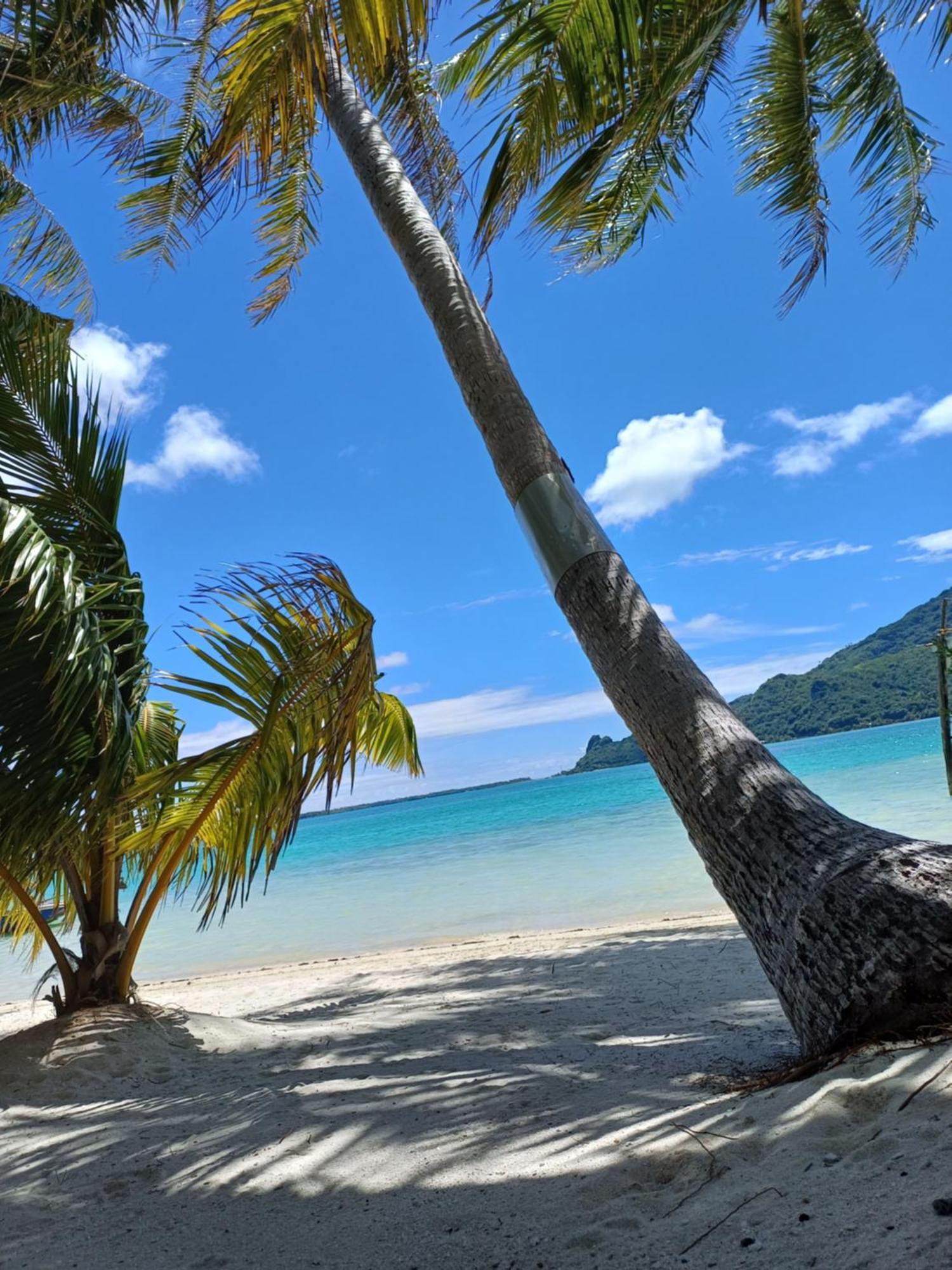 Poemanahere Island Camping A Maupiti Te-Fare-Arii Exterior foto